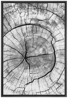 the cross section of a tree trunk is shown in this black and white photo,