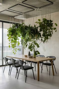 a dining room table with chairs and plants hanging from it's ceiling, in front of a balcony