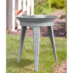 a bird sitting on top of a metal bowl in the grass