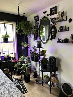 a room filled with lots of plants and potted plants next to a mirror on the wall