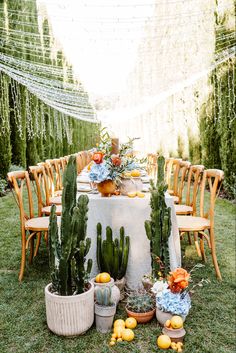 an outdoor table set up with potted cacti and succulents