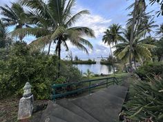 stairs lead up to the beach with palm trees on either side and water in the distance