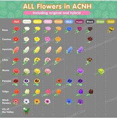 an image of flowers in the game all flowers in acnh, including original and hybrid