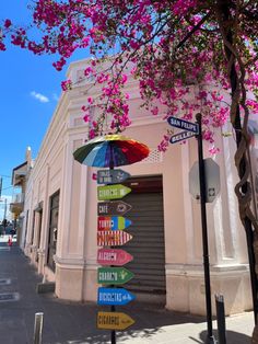 a street sign on the side of a road next to a tree with pink flowers