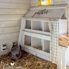 a chicken in a coop with hay on the floor