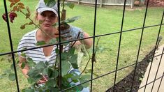 a woman in striped shirt holding up plants behind a fence