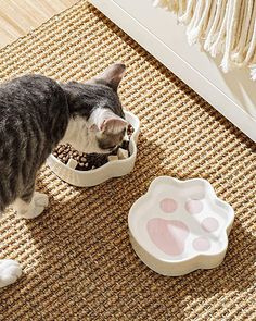 a cat eating out of its food dish on the floor next to a dog bowl