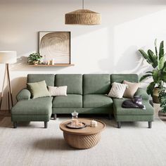 a living room with green couches and potted plants on the wall above them