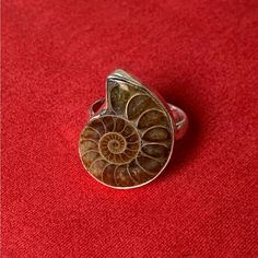 100% Solid Sterling Silver. Gemstone(S): Ammonite Fossil (Genuine). Total Weight: 5.4 Grams. Ring Size: 7, 7.75 Main Gemstone Size/Head Size: 20 X 16mm. Unique And Handcrafted Claddaugh Ring, Shifting Closet, Jelly Opal, Piercing Inspo, Moonstone Ring Sterling Silver, Ammonite Fossil, Turquoise Ring Silver, Sterling Silver Filigree, Brown Silver