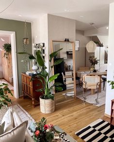 a living room filled with lots of furniture and plants in it's centerpiece