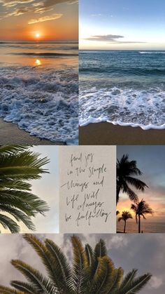 a collage of photos with palm trees and the ocean in the background at sunset