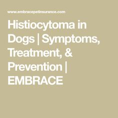 the words, histocytoma in dogs i symptons, treatment and prevention embrace