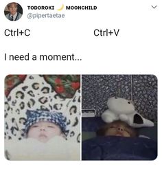 two tweets, one with a teddy bear and the other with a stuffed animal