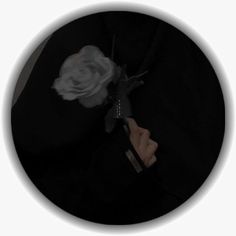 a person in a black jacket holding a white rose with one hand and two other hands