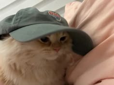 a cat wearing a hat on top of its head