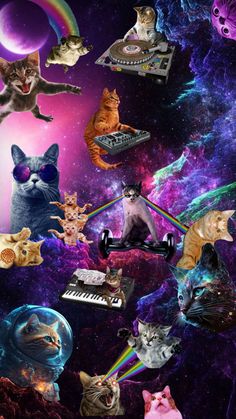 many cats are in the space with different colors