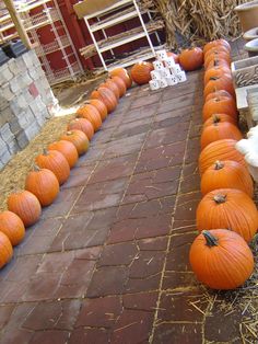 pumpkins lined up along a brick walkway