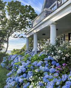 blue and white hydrangeas line the side of a house with porch railings