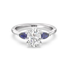 https://embed.imajize.com/8346656 Minimal Engagement Ring, Unique Engagement Ring Settings, Sparkly Ring, Blue Iris, Three Stone Engagement Ring, Iris Flower, Gorgeous Engagement Ring, Three Stone Diamond, Contemporary Ring