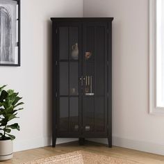 a tall black cabinet sitting next to a plant in a living room with white walls