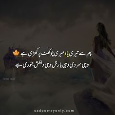 Teri Yaad Poetry Quotes