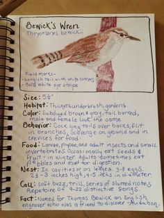 a page in a notebook with an image of a bird on it's side