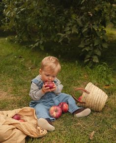 a little boy sitting on the ground eating apples from two baskets in front of him