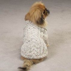 a small dog wearing a sweater on the floor