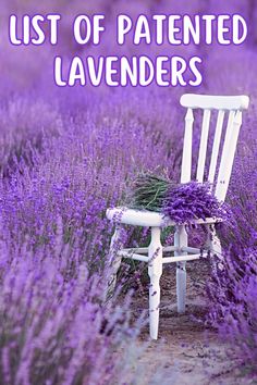 a white chair sitting in the middle of a lavender field with text overlay that reads,