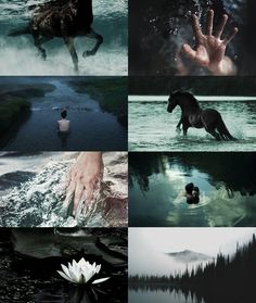 four different pictures with horses and people in the water, one is holding a white flower