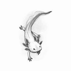 an animal that is flying through the air with it's tail extended and feet spread out