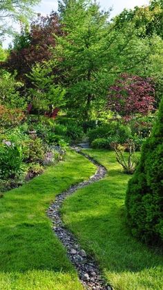 a garden with lots of green grass and trees in the background, along with a small creek running through it