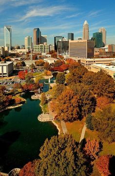 an aerial view of a city with trees in the foreground