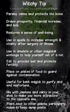 Magickal Tips, Every Witch Way, Witch Spells, Witch Board, Witch Tips, Magickal Herbs, Witch Herbs, Green Witchcraft, Magic Herbs