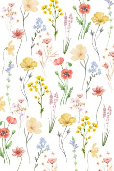 watercolor flowers on a white background with green stems and yellow, red, blue, pink, orange