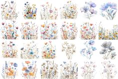 Boho Watercolor Wildflowers Clipart Watercolour Wildflowers, Grass Clipart, Beach Clipart, Watercolor Wildflowers, Boho Watercolor, Easter Clipart, Wildflower Bouquet, Animal Clipart, Spring Green