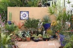 many different types of plants and flowers in pots on the ground near a wall with a tile floor