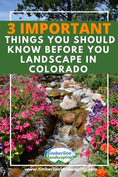 flowers and rocks with the words 3 important things you should know before you landscape in colorado