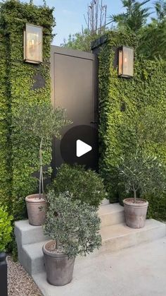 an outdoor area with potted plants and lights on the side of it, surrounded by greenery