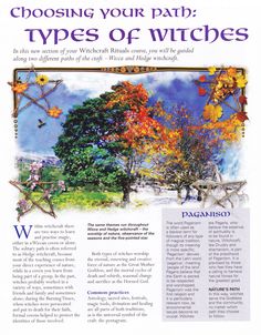 an article in the magazine about different types of witches and how they are used to spell