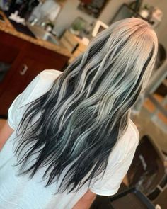 White And Black Baylage Hair, Black Hair White Root, Platinum Silver And Black Hair, White To Black Hair Ombre, Black And White Balayage Hair, Icy Blonde And Black Hair, Platinum Blonde Hair With Black Lowlights, Silver On Top Black On Bottom Hair, White Ombré Hair