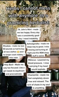 Natural Healing Remedies, Holistic Remedies, Home Health Remedies, Natural Health Tips, Herbal Healing, Health Knowledge, Herbs For Health, Natural Health Remedies