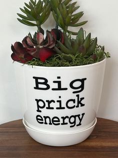 a white planter with plants in it that says big prick energy on the side