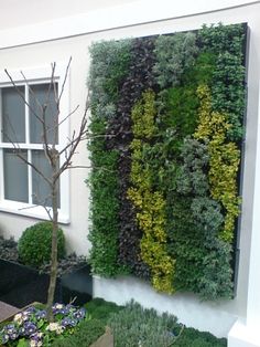 a living wall in front of a house