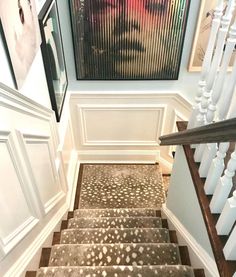 a stair case with pictures on the wall and carpeted steps leading up to it