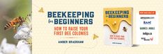 beekeepers for beginners how to raise your first bee count