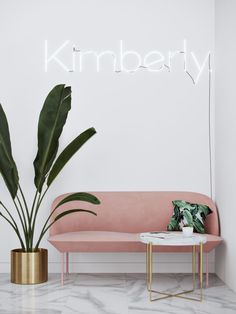 a pink couch sitting next to a plant in a room