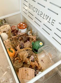 an open bin filled with lots of plants and other things on top of the floor