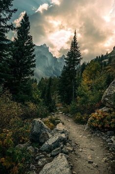 a trail in the mountains with trees and rocks on both sides leading up to it