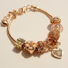 Beautiful Rose Gold Plated Charm Bracelet Rose Gold Charm Bracelet For Valentine's Day Party, Mother's Day Rose Gold Charm Bracelet, Beach Foot Jewelry, Colorful Bangles, Princess Charming, Plastic Bangles, Locket Bracelet, Memorial Bracelet, Daisy Bracelet